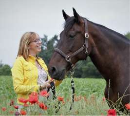 Amélie Focant porte une veste jaune et elle se tient à côté d'un cheval brun foncé dans une prairie avec des coquelicots.