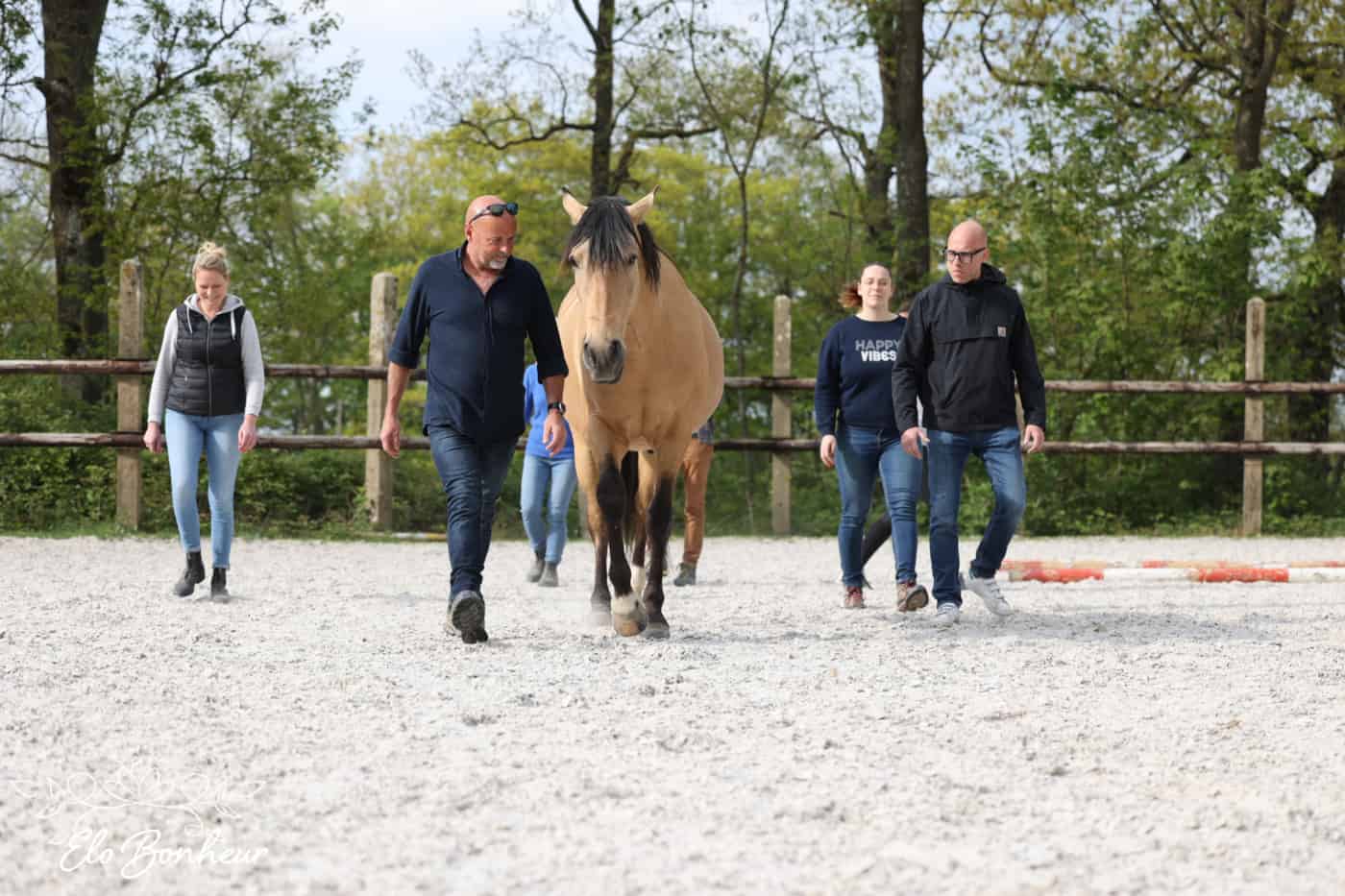 Une entreprise qui est dans un manège extérieur avec un cheval brun, pendant un coaching d'entreprise.