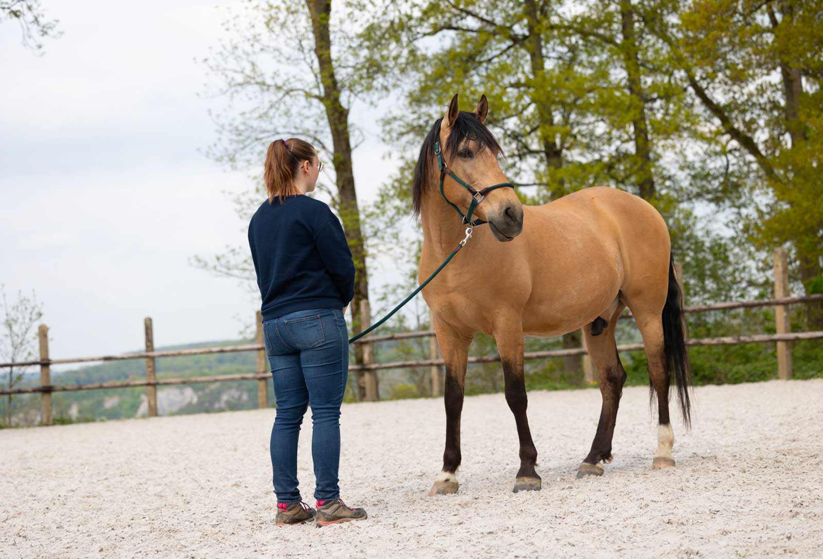 Une dame qui tient la longe du licol d'un cheval brun clair à la crinière