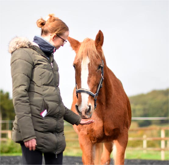 Une femme qui tient sa main ouverte vers un cheval de couleur alezan