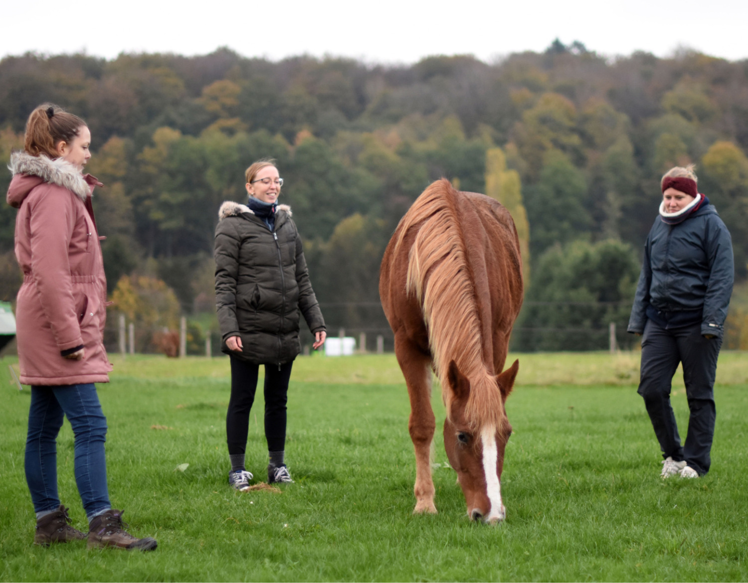 Trois femmes se trouvent dans un champ vert avec un cheval alezan qui broute.