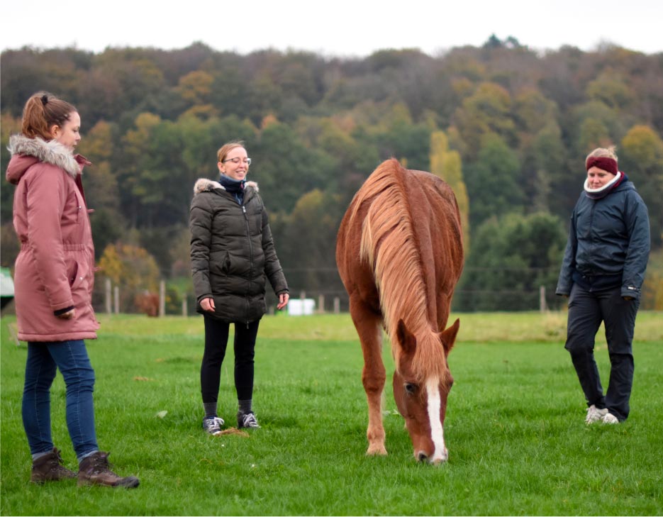 Trois femmes se trouvent dans un champ vert avec un cheval alezan qui broute.