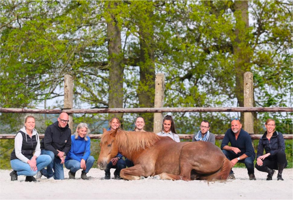 Un groupe de personnes assises à côté d'un cheval couché dans un manège.