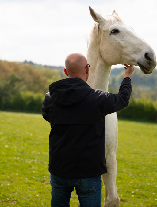 Un homme est vu de dos et caresse la tête d'un cheval blanc dans un champ lors d'une formation sur la thématique de la gestion du changement chez EquiLink