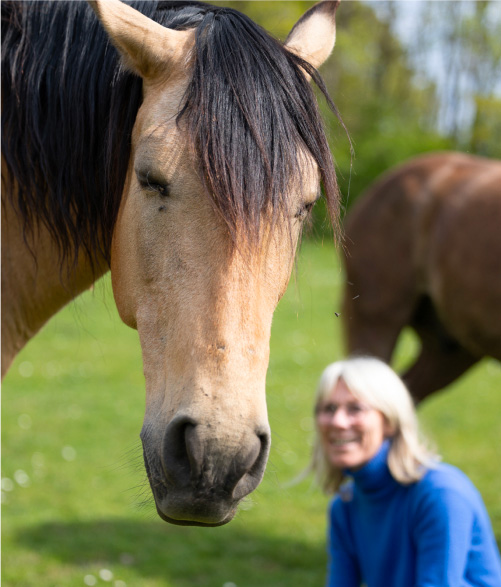 Un gros plan d'une partie du visage d'un cheval brun avec une femme souriante floue en arrière-plan.