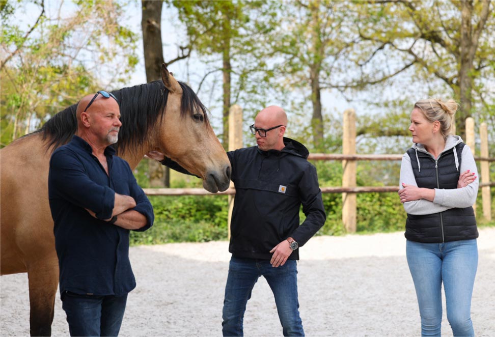 Un homme et une femme se tenant dans un manège, regardant dans la direction du cheval qui est en train de se détourner. Leurs expressions et langage corporel indiquent une interaction en rapport avec la formation donnée par EquiLink