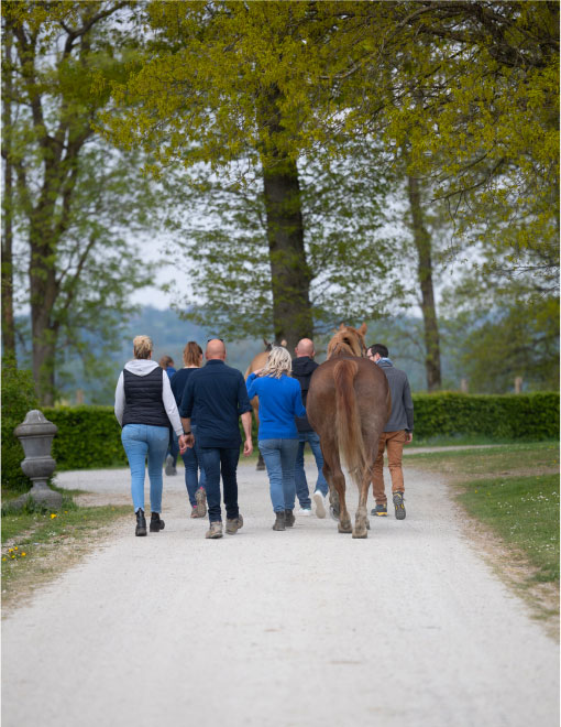 Un groupe de personnes marchant derrière un cheval alezan sur un chemin de gravier bordé d'arbres.