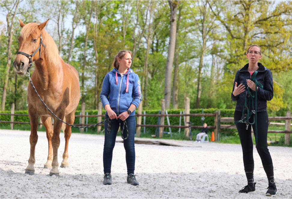 Deux femmes dans un manège, une tenant un cheval par une longe et l'autre parlant à une équipe lors d'un teambuilding "Gestion de changement"