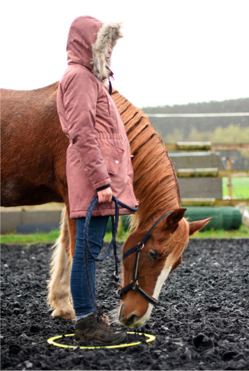 Une femme, vêtue d'une parka rose, se tient à côté d'un cheval alzean dans un manège lors d'une formation dont la thématique est "Intelligence collective"