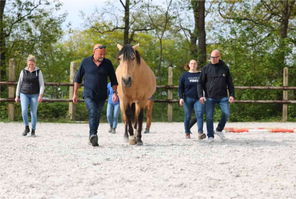 Un groupe collaboratif et un cheval à la robe brun clair avec une crinière sombre lors d'une séance de coaching d'équipe en extérieur