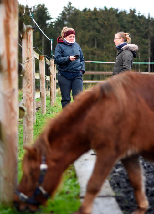 Près d'une pâture, on voit un cheval brun qui broute en premier plan et deux femmes qui discutent en arrière-plan.