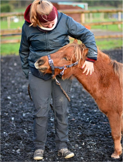 Une femme portant un bandeau rouge dans les cheveux et une tenue foncée caresse un poney brun lors d'une formation d'entreprise chez Equilink