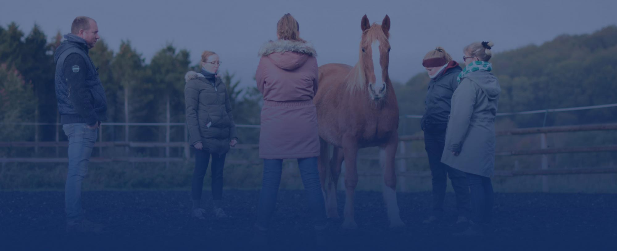 Un cheval alezan et un groupe de personnes de dos qui se tient en cercle lors d'un teambuilding